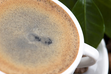 Image showing fresh coffee with coffee branch