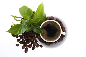 Image showing fresh coffee with coffee branch