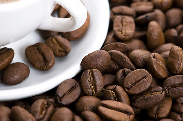 Image showing aroma coffee