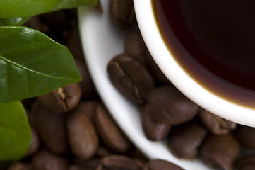 Image showing fresh coffee with coffee branch