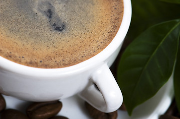 Image showing fresh coffee with coffee branch