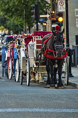 Image showing Montreal, Quebec, Canada