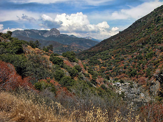 Image showing Sequoia National Park, U.S.A.