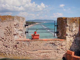 Image showing Torre Mozza Beach, Tuscany, Italy