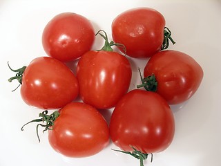 Image showing tomatoes