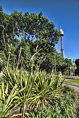 Image showing Sydney, Australia, 2009