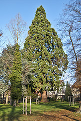 Image showing Friedrichshafen, Germany, Christmas Time