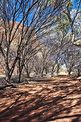 Image showing Australian Outback, Northern Territory, Australia