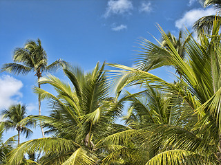 Image showing Santo Domingo, Republica Dominicana