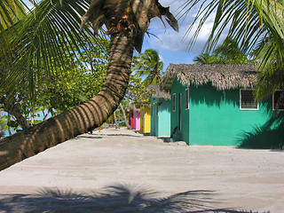 Image showing Coloured Houses in Santo Domingo