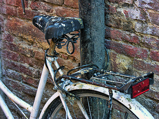 Image showing Bicycle in Pisa, Italy