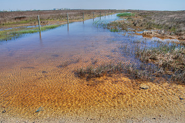 Image showing Coast near Galveston, Texas