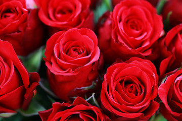 Image showing lots of roses