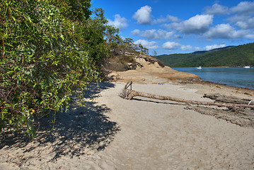 Image showing Whitsunday Islands National Park, Australia