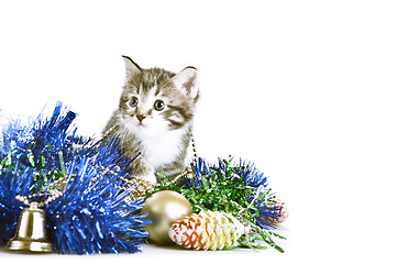 Image showing kitten amongst christmas tree decoration