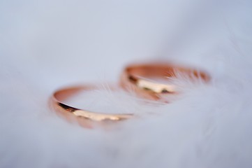 Image showing wedding rings