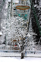 Image showing Snow-covered tree and ferris wheel in winter park