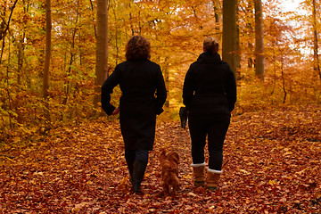 Image showing Mother and daughter walking in the forest