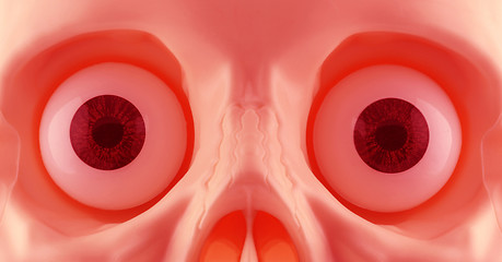 Image showing Skeleton Eyes