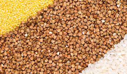 Image showing Millet, buckwheat, rice background