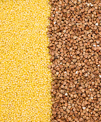 Image showing Buckwheat and millet background