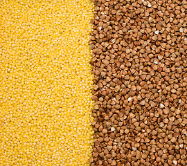 Image showing Buckwheat and millet background