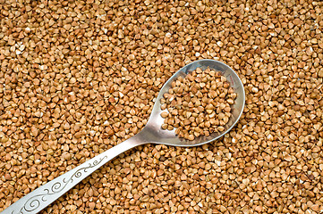 Image showing Buckwheat background