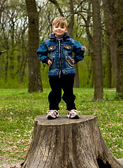 Image showing Little boy in wood