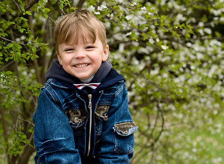 Image showing Little boy in wood