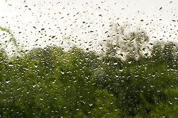 Image showing Rain drops on glass