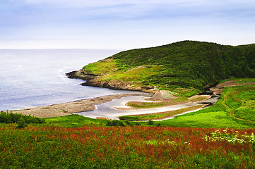 Image showing Atlantic coast in Newfoundland