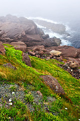 Image showing Atlantic coast in Newfoundland