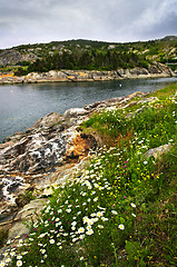 Image showing Atlantic coast in Newfoundland