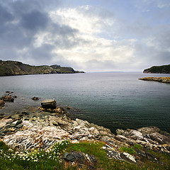 Image showing Atlantic coast in Newfoundland