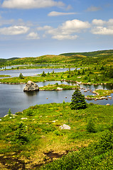 Image showing Beautiful lake shore in Newfoundland