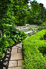 Image showing Lush green garden