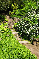 Image showing Natural stone garden steps