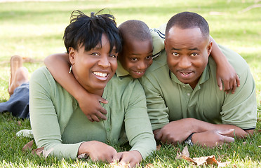 Image showing African American Family in the Park