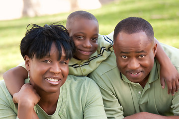 Image showing African American Family in the Park