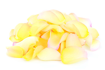 Image showing rose petals