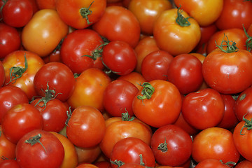 Image showing tomatoes