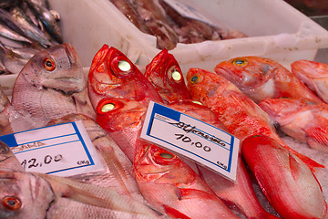 Image showing Fresh fish