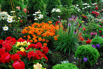 Image showing flowers and trees in garden