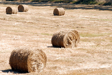 Image showing Fall Hay Bale