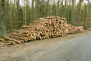 Image showing pile of wood