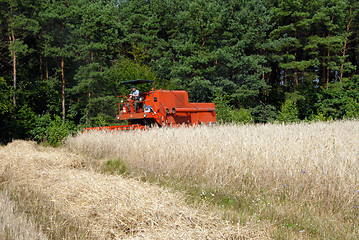 Image showing harvester harvesting a grain field