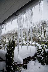 Image showing Icicles