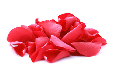 Image showing red rose petals