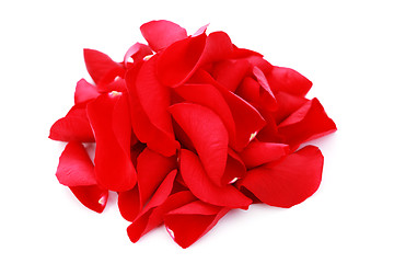 Image showing red rose petals