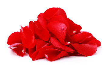 Image showing red rose petals